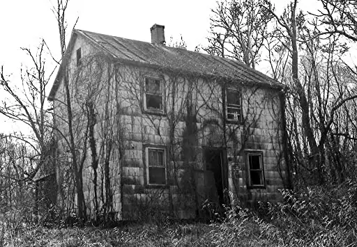 ブレア・ウィッチ・プロジェクトの画像