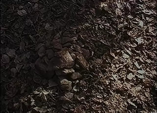 ブレア・ウィッチ・プロジェクトの画像