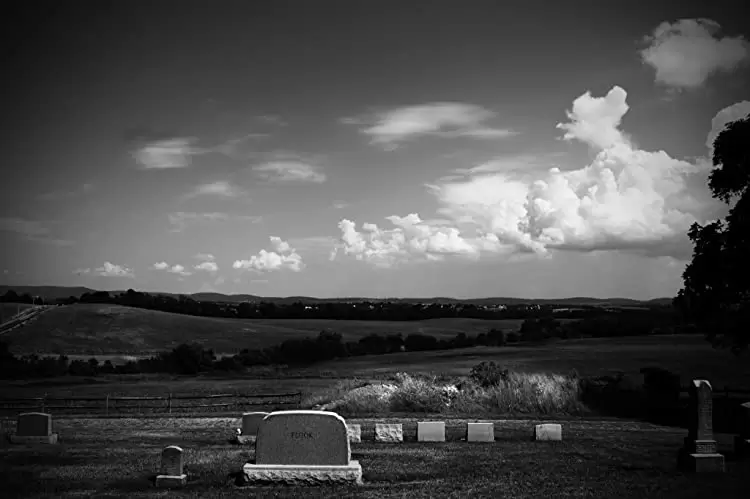 ブレア・ウィッチ・プロジェクトの画像