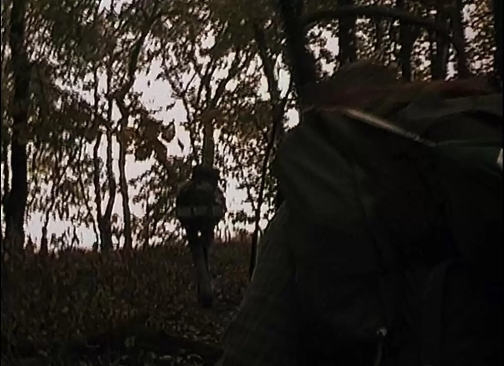 ブレア・ウィッチ・プロジェクトの画像