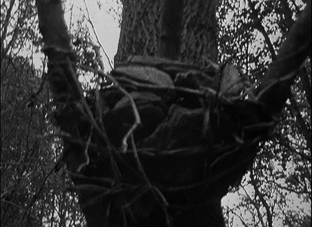 ブレア・ウィッチ・プロジェクトの画像