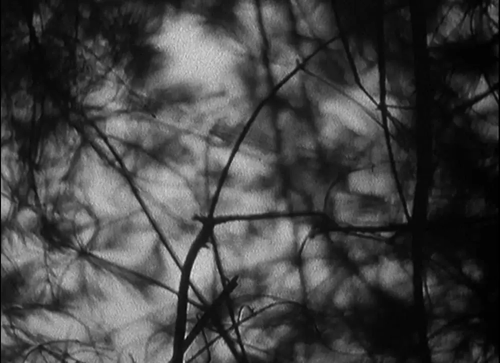 ブレア・ウィッチ・プロジェクトの画像