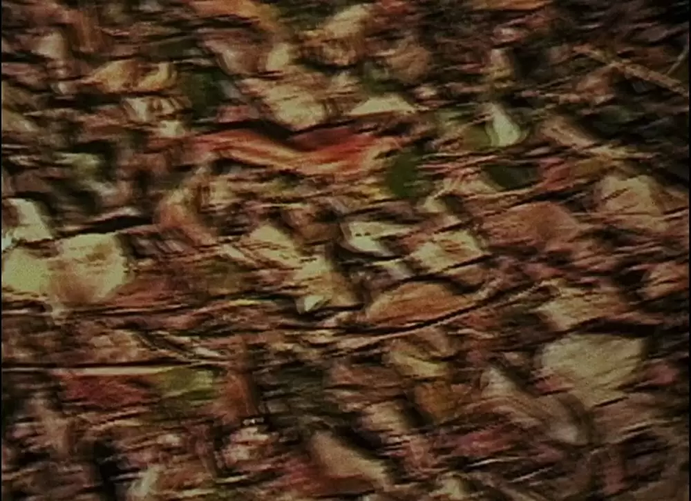 ブレア・ウィッチ・プロジェクトの画像