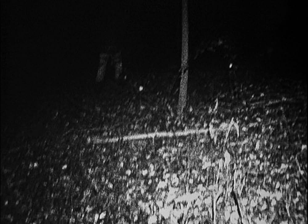 ブレア・ウィッチ・プロジェクトの画像