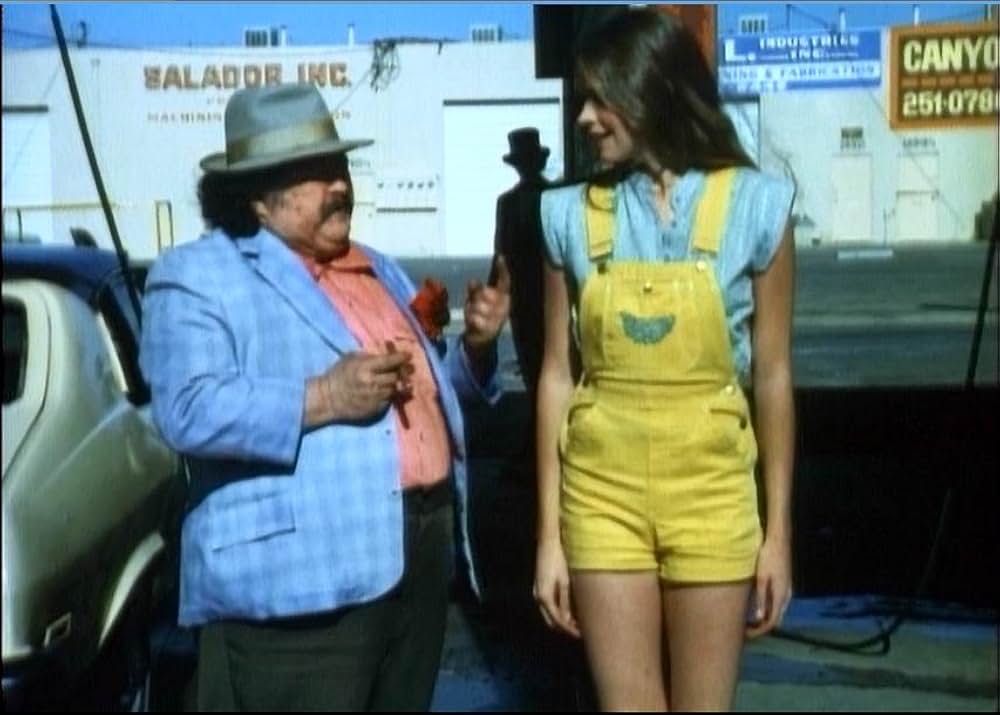 クレイジーポリス大追跡の画像