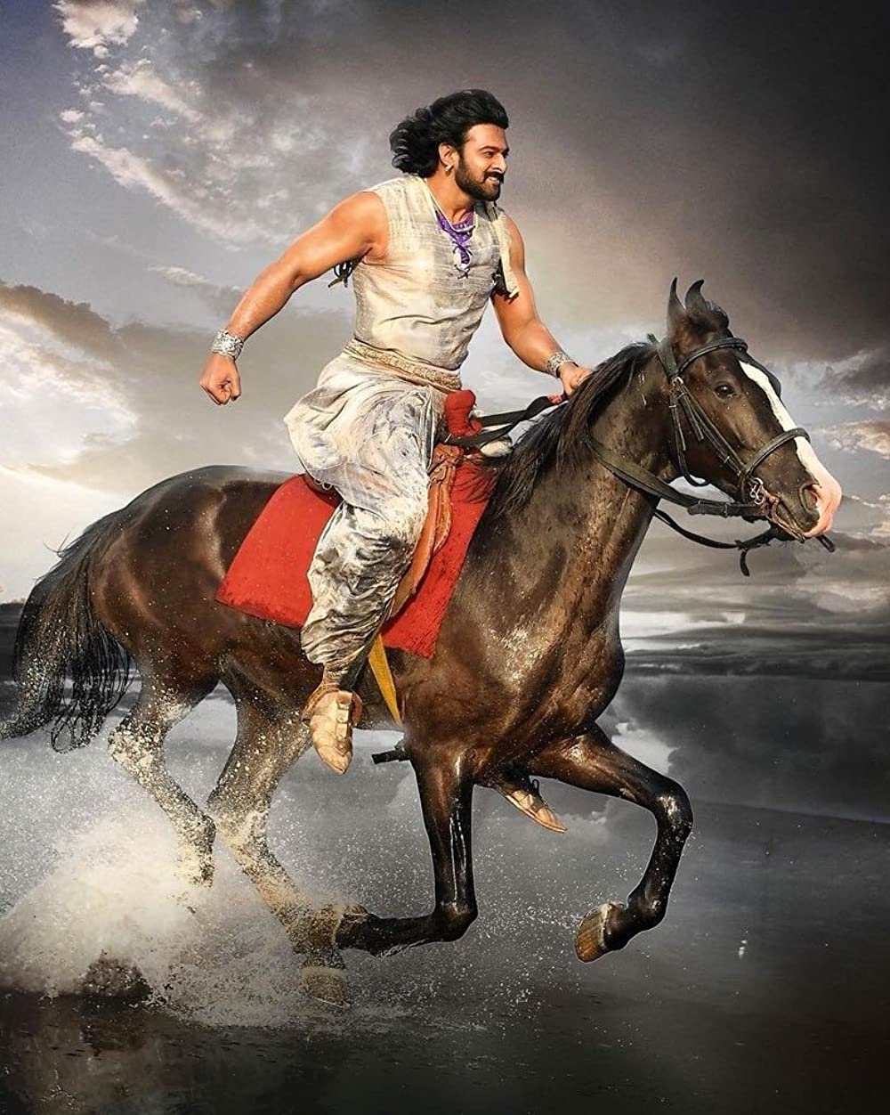 バーフバリ 王の凱旋 ≪完全版【オリジナル・テルグ語版】≫の画像