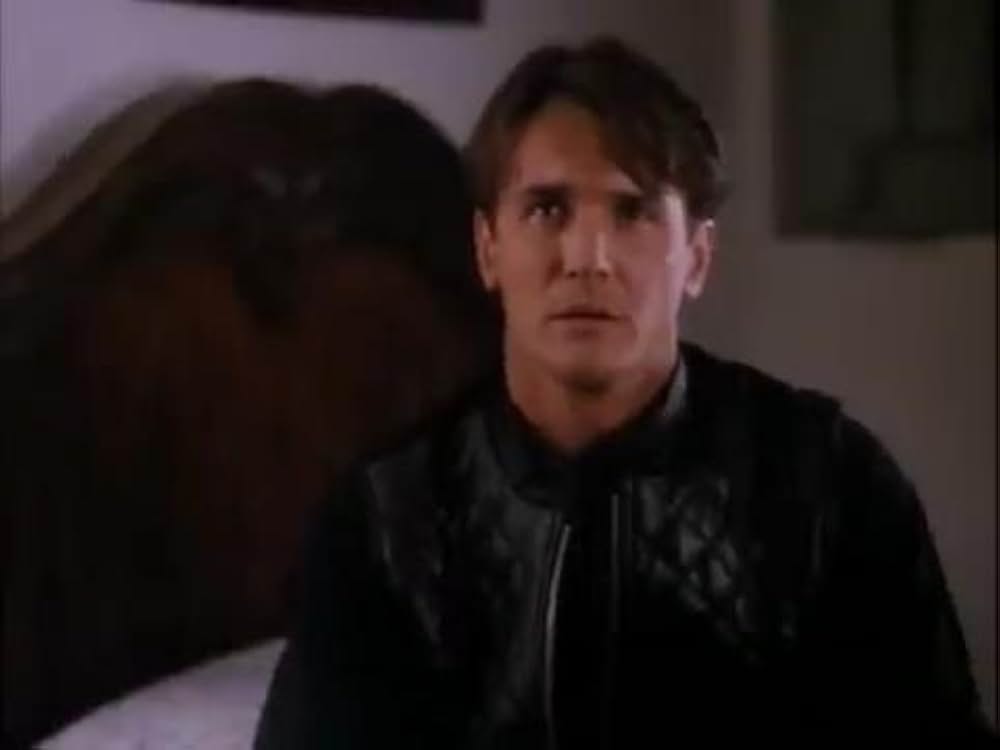 ヴァンピレラの画像