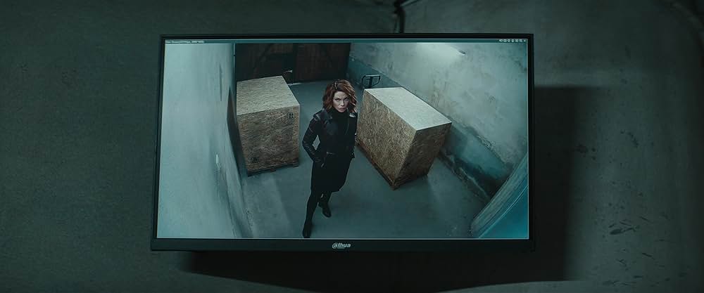 Canary Black（原題）の画像