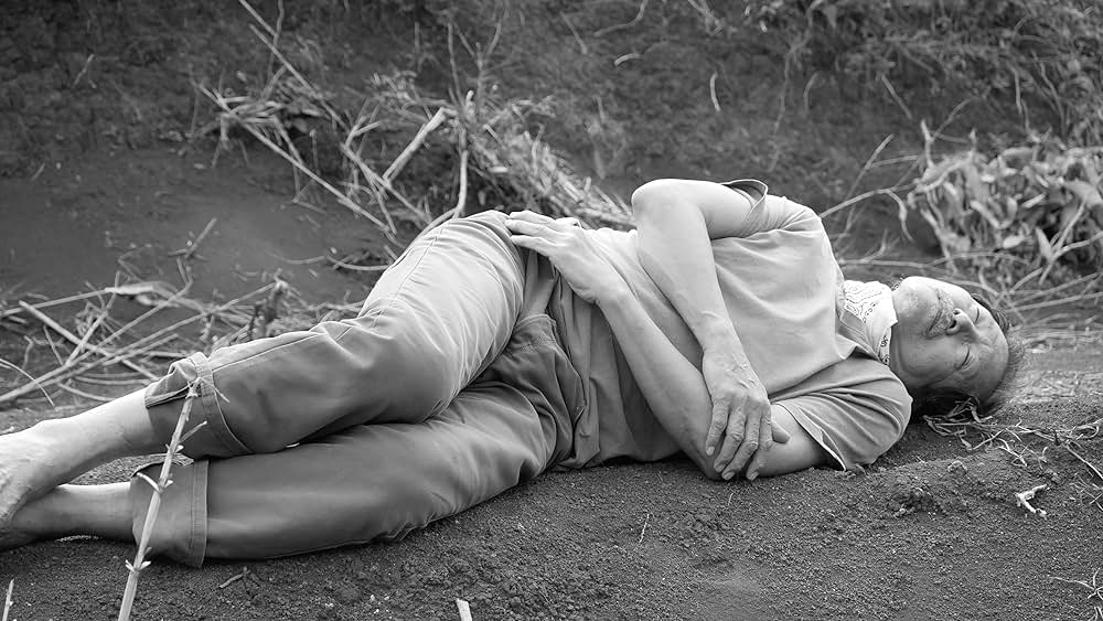 ファントスミアの画像