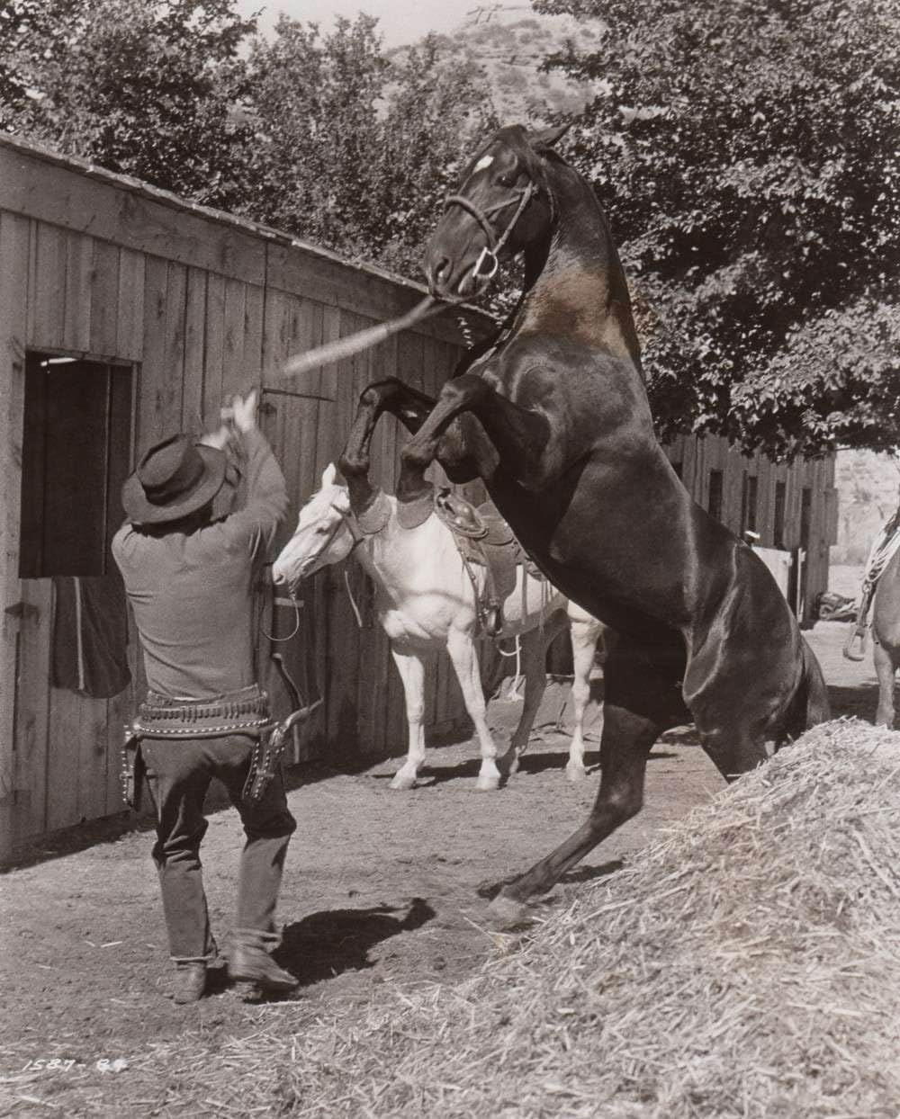 赤い渓谷の画像