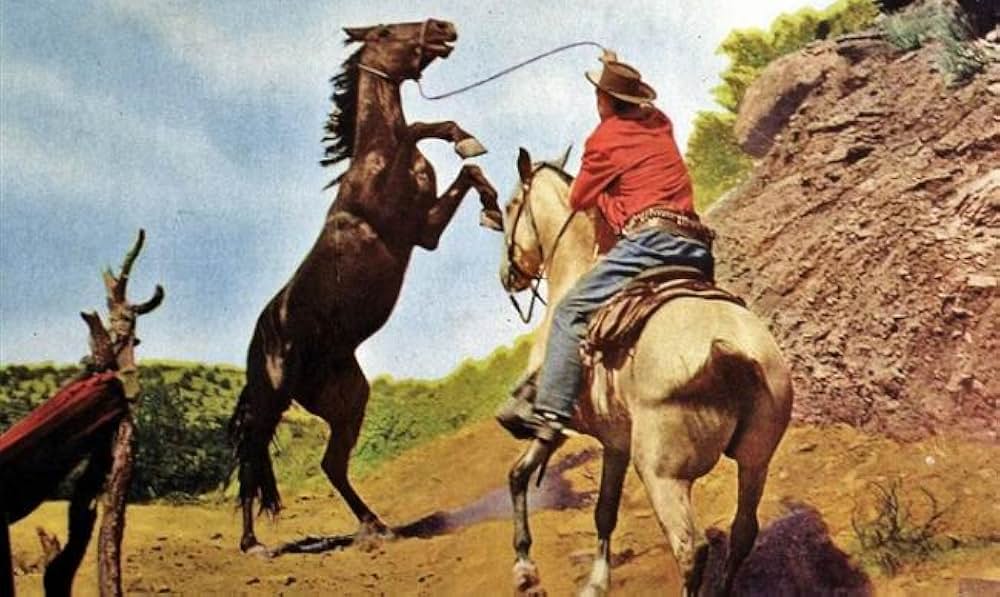 赤い渓谷の画像