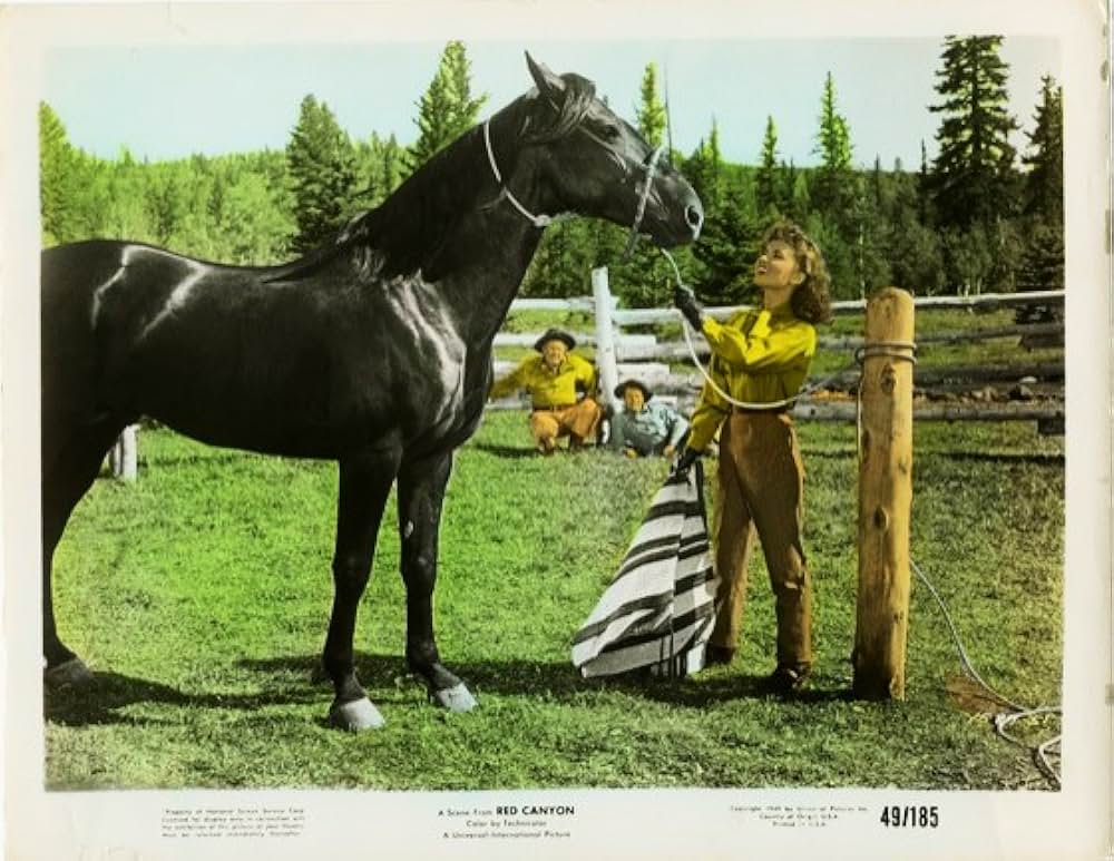 赤い渓谷の画像