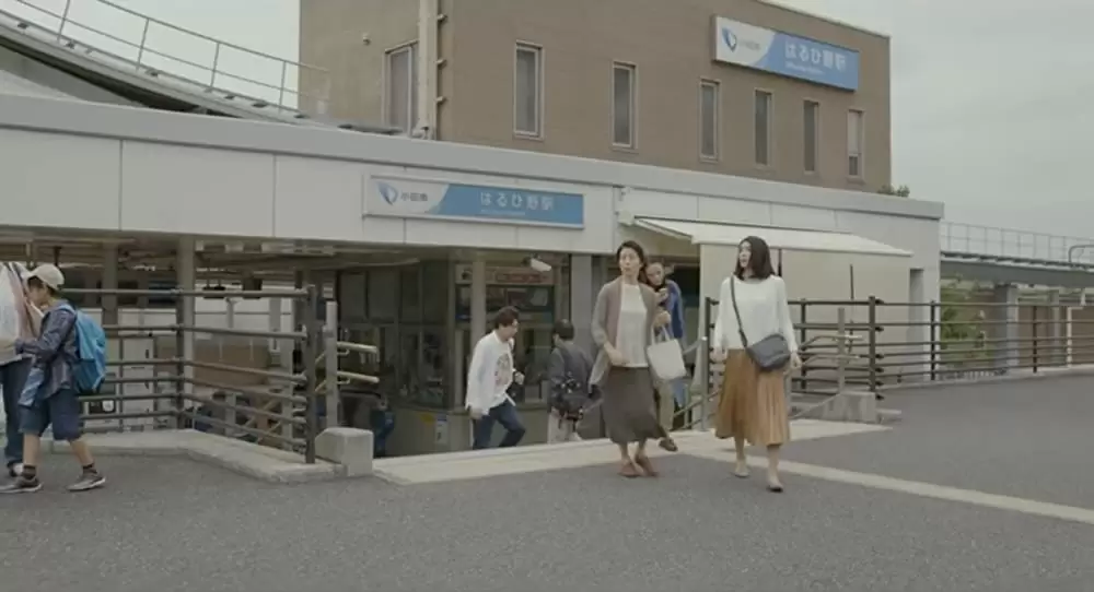 長いお別れの画像