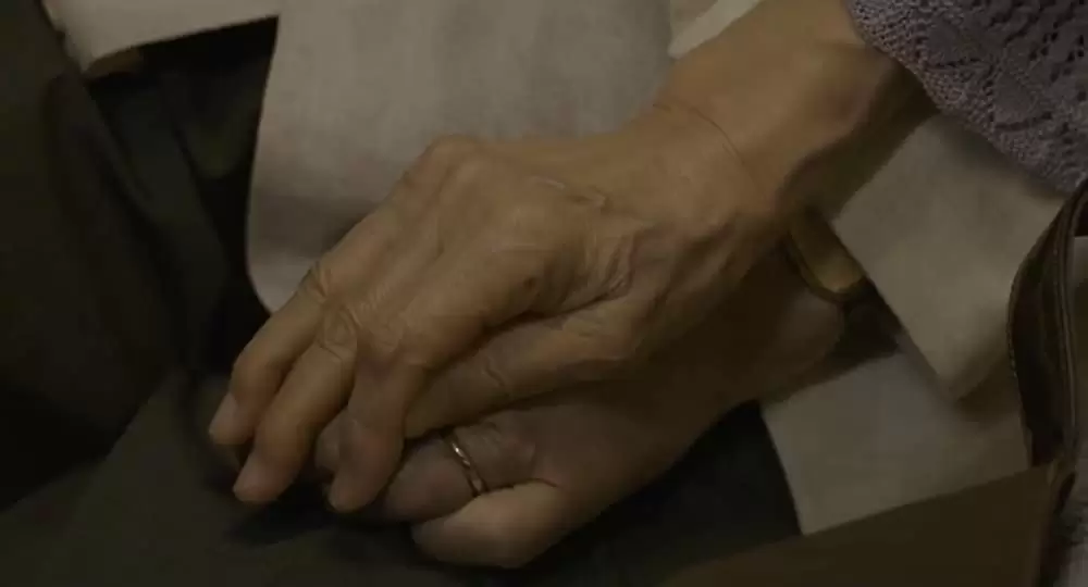 長いお別れの画像