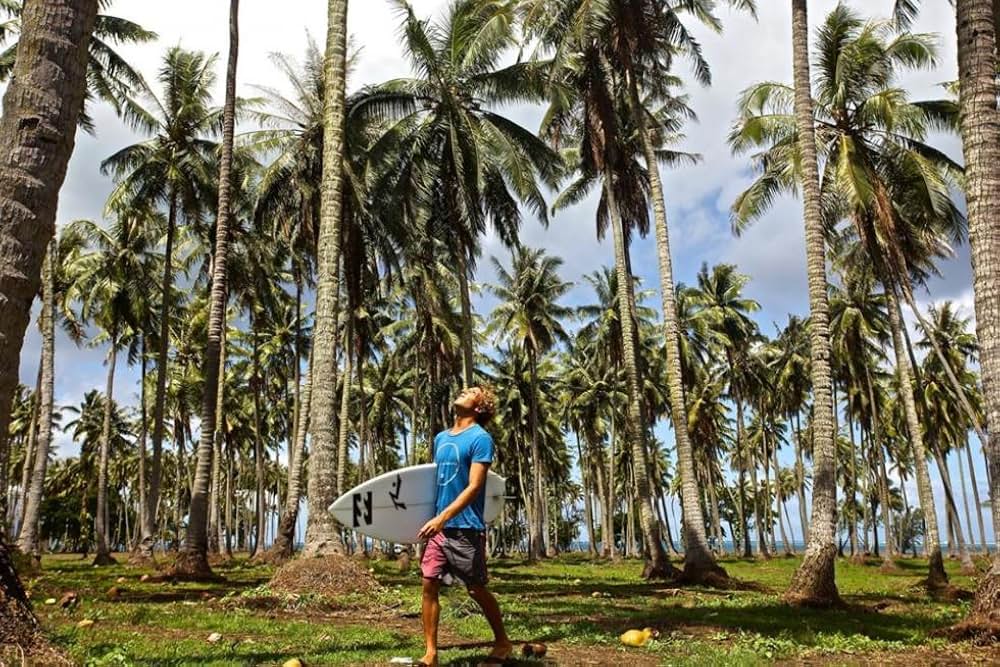 フロンテラ・アスールの画像