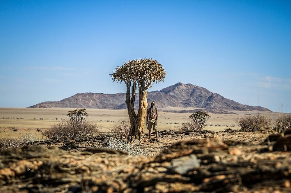 フロンテラ・アスールの画像