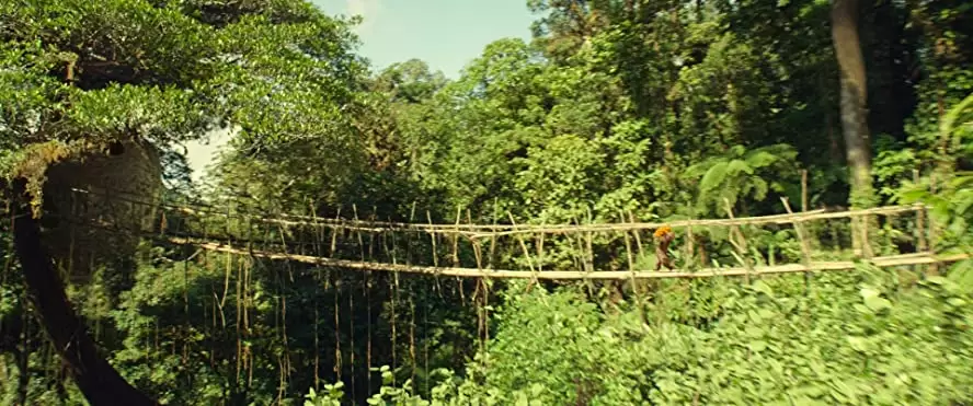 パディントンの画像