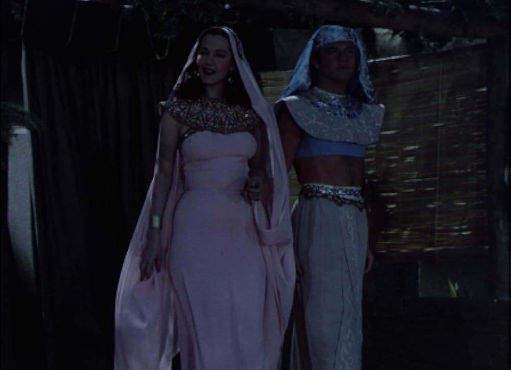 スーダンの砦の画像