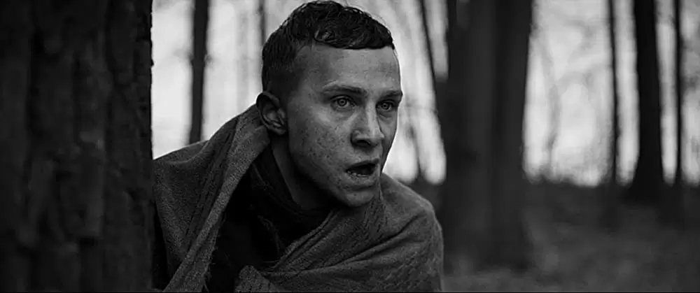 ちいさな独裁者の画像