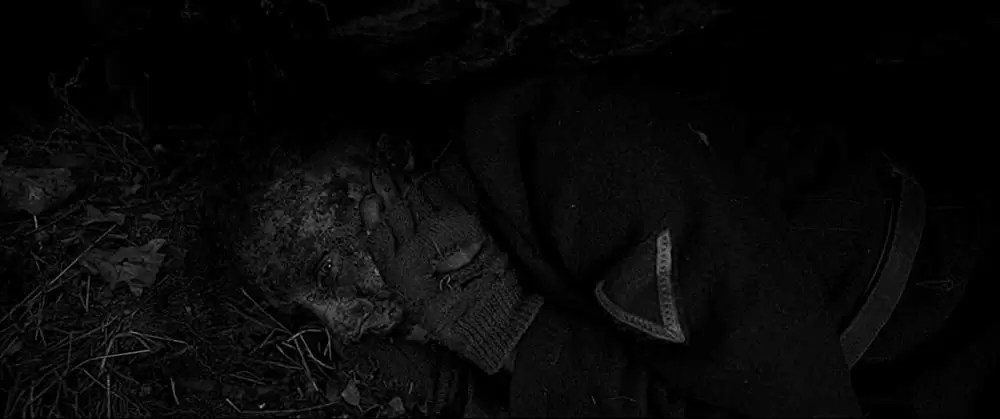 ちいさな独裁者の画像