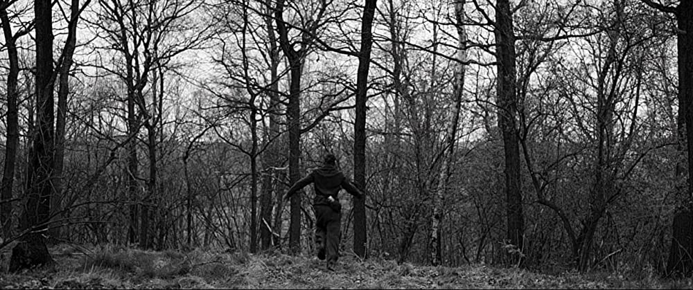 ちいさな独裁者の画像