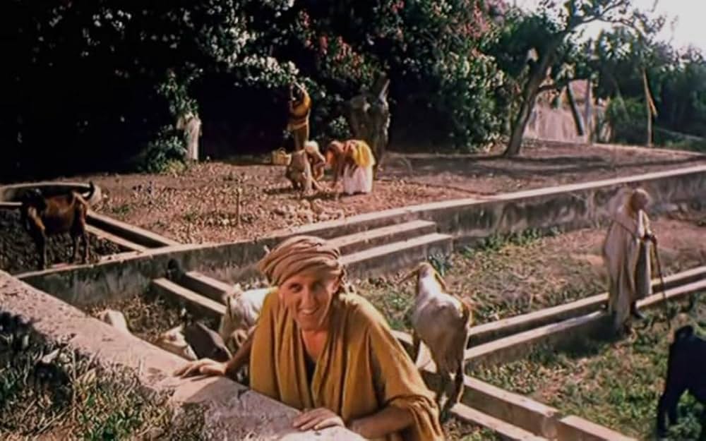 エステルの画像