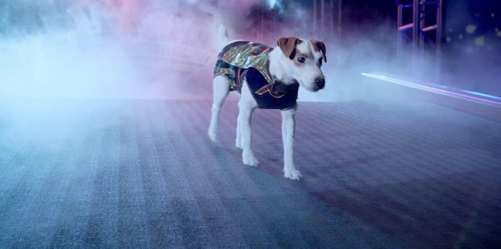 ラッセル 奇跡の始まりの写真