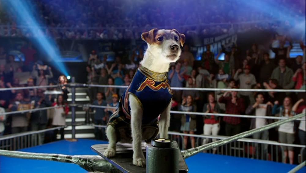 ラッセル 奇跡の始まりの画像