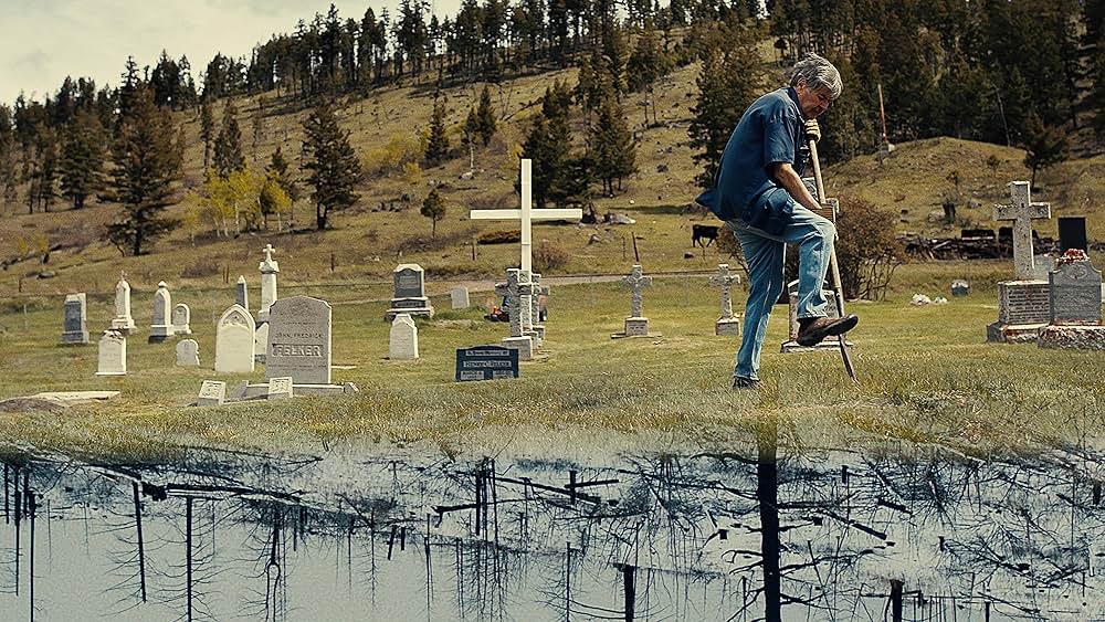 SUGARCANE／シュガーケインの写真