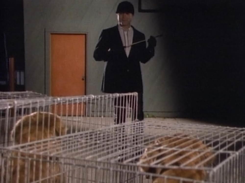 マッド・マークの画像