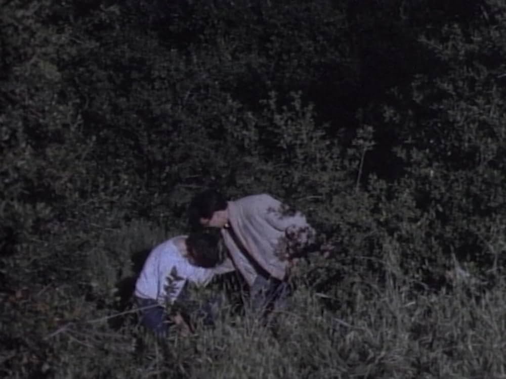 マッド・マークの画像