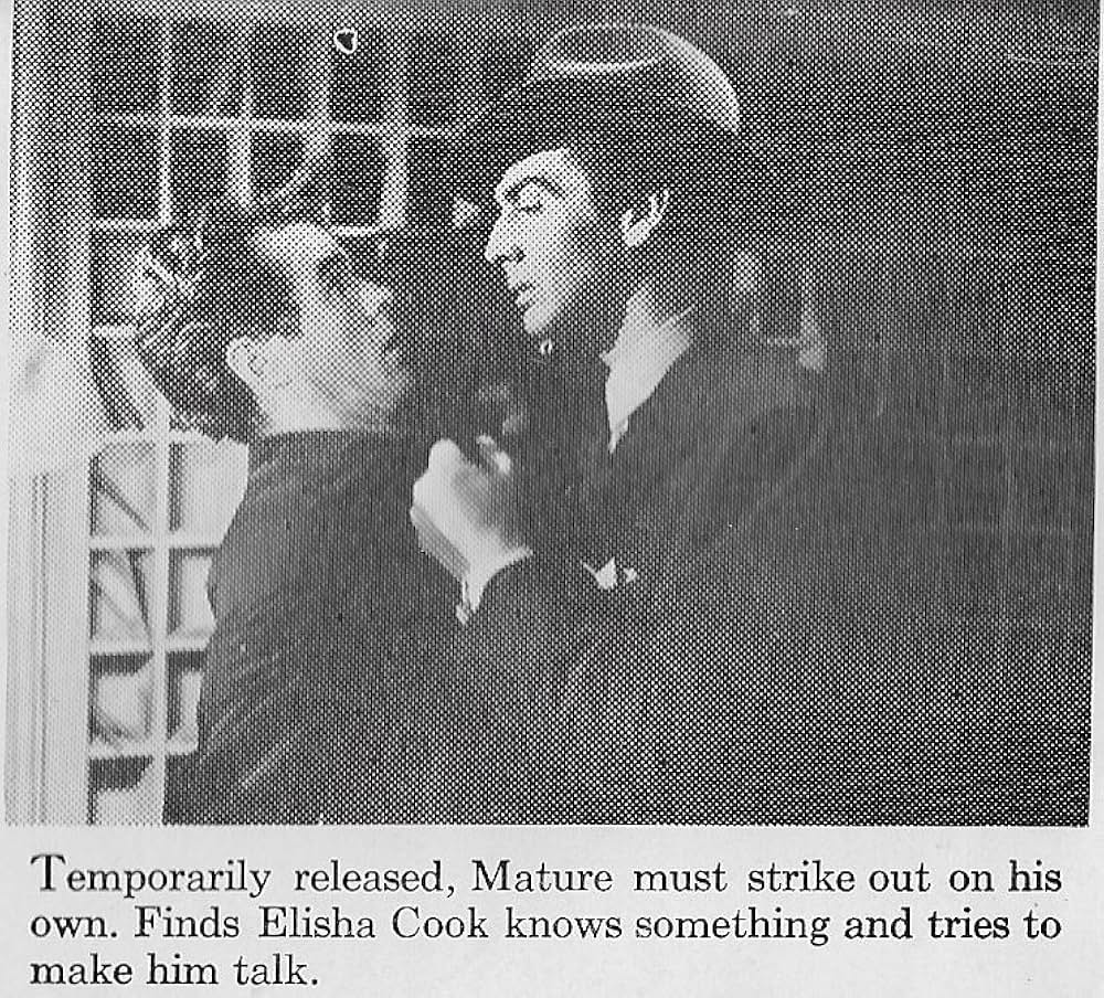 美人モデル殺人事件の写真