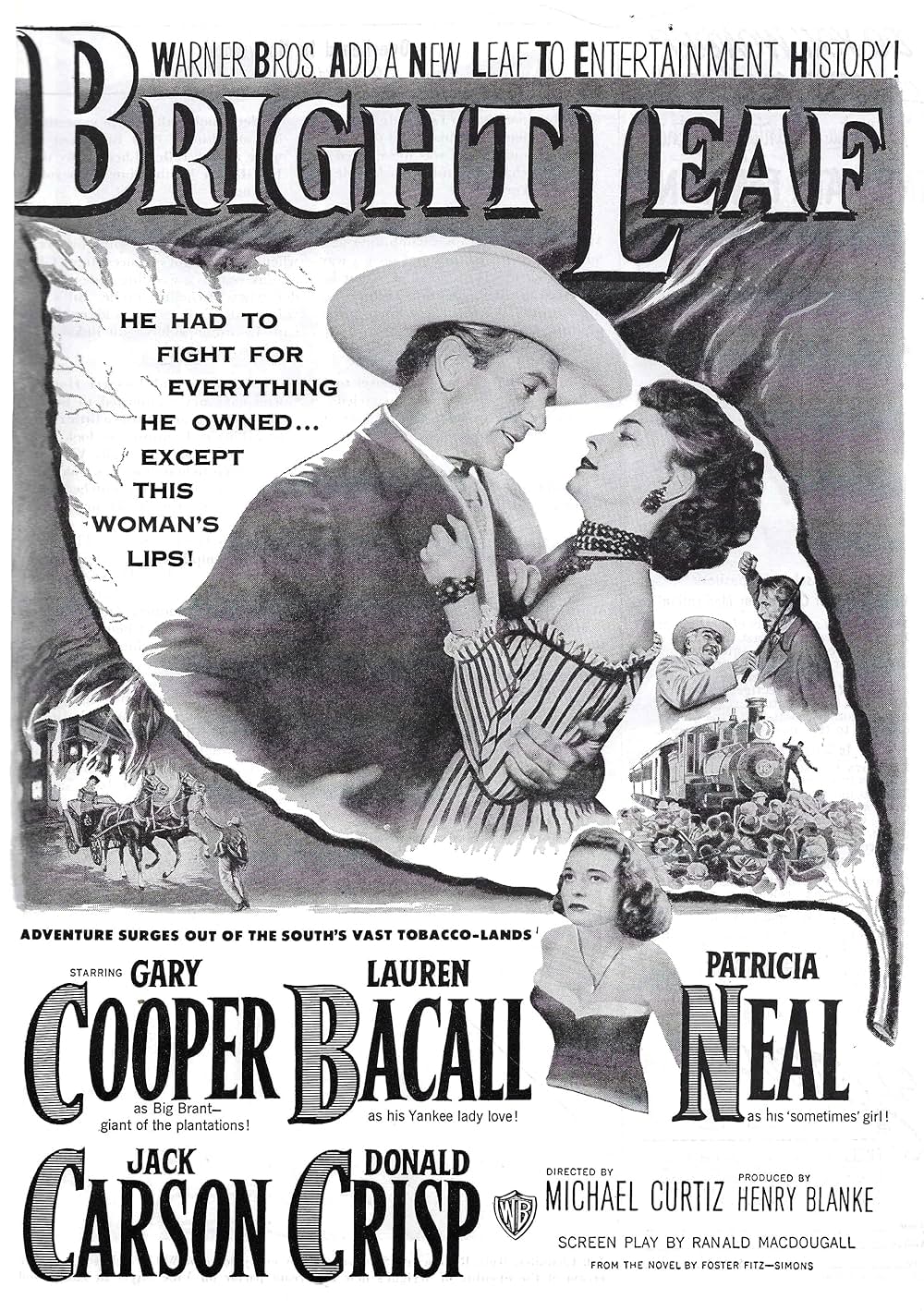 燃えつきた欲望の画像