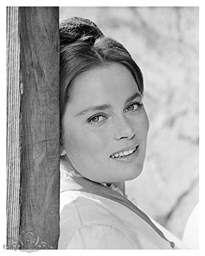 ズール戦争の画像