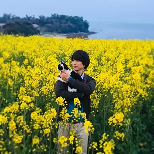 旅猫リポートの画像