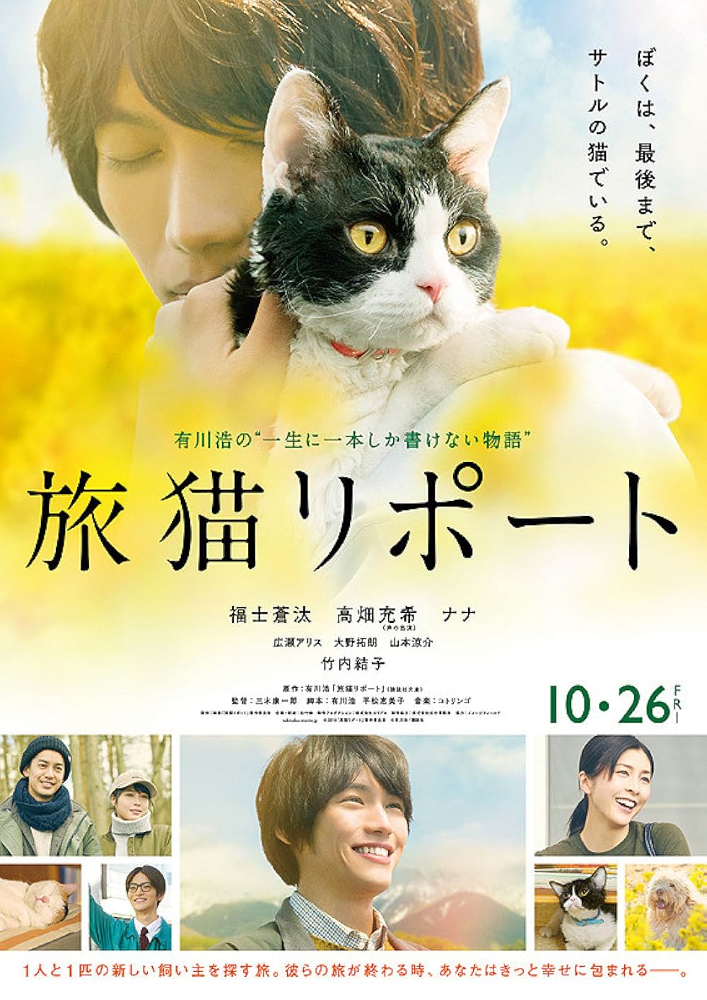 旅猫リポートの画像