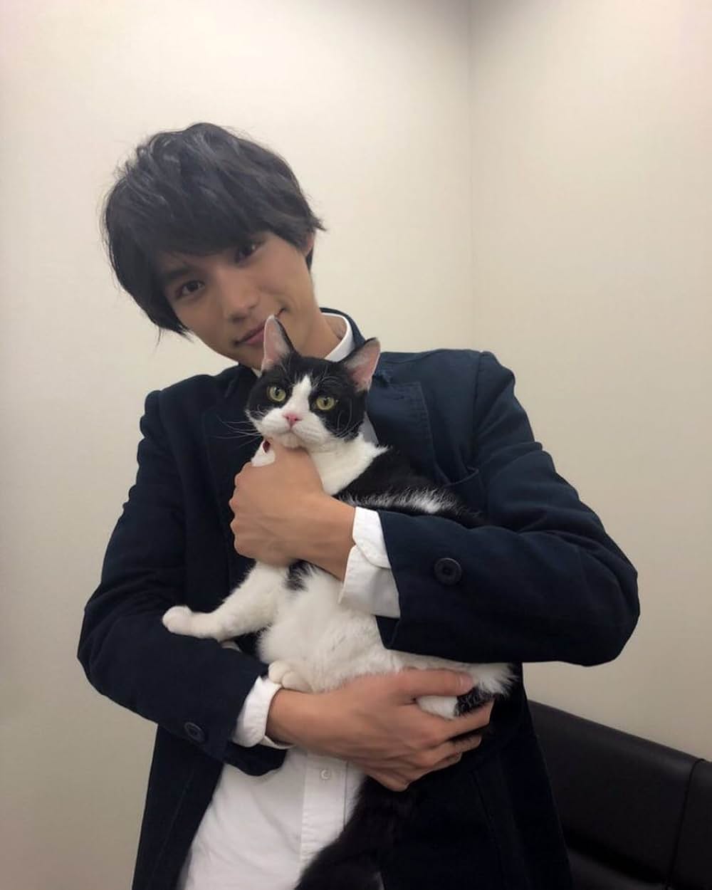 旅猫リポートの画像