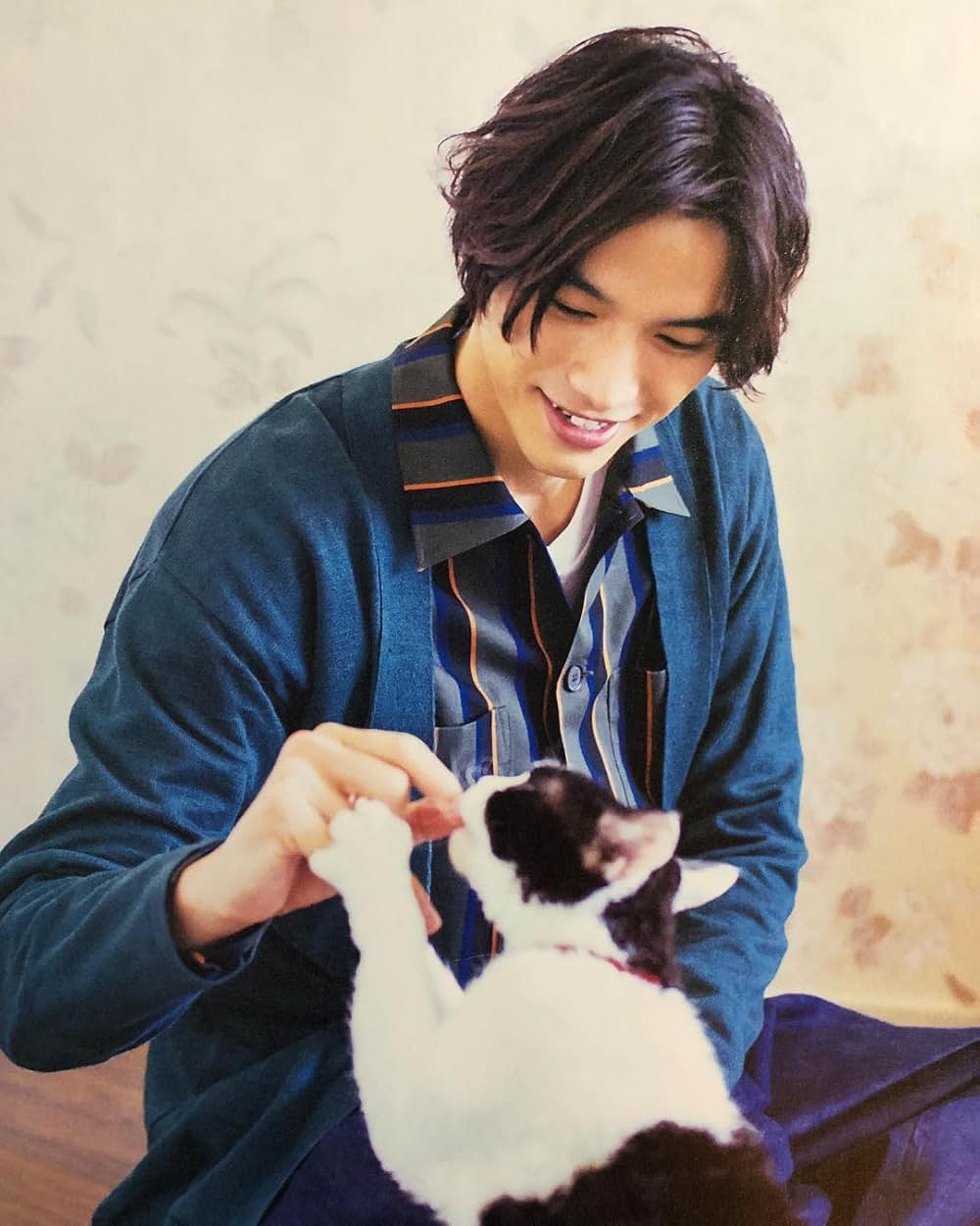 旅猫リポートの画像