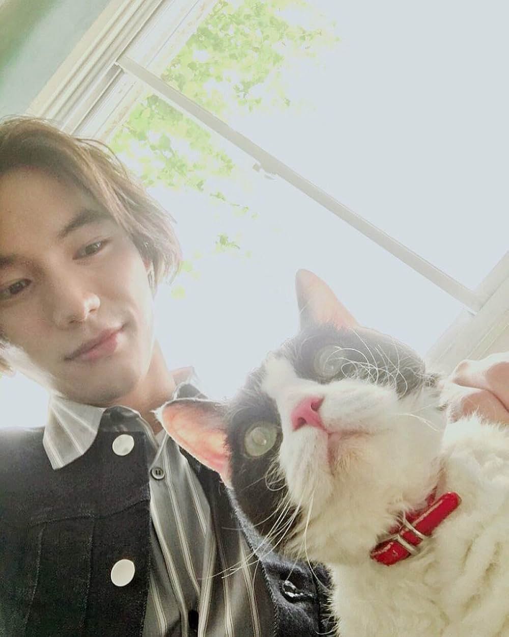 旅猫リポートの画像