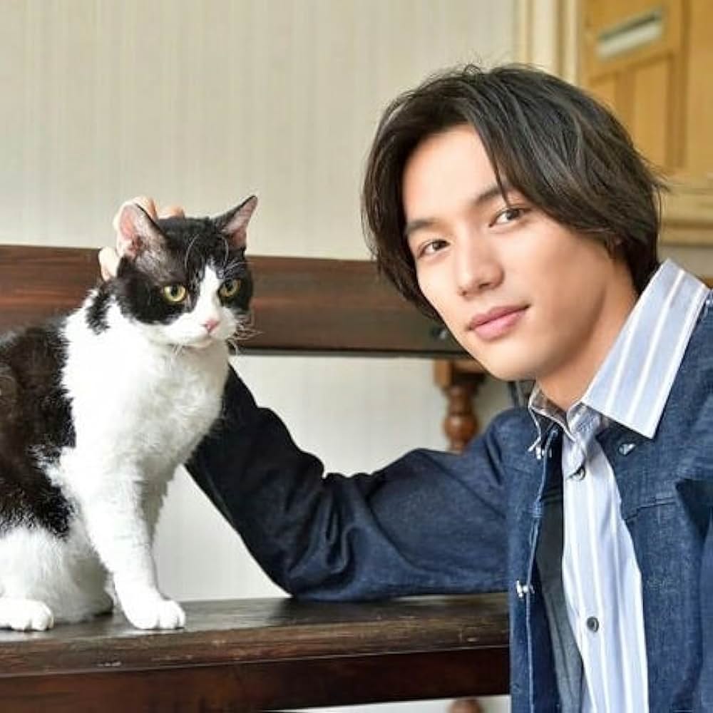 旅猫リポートの画像