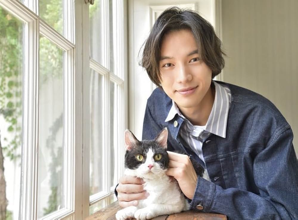 旅猫リポートの画像