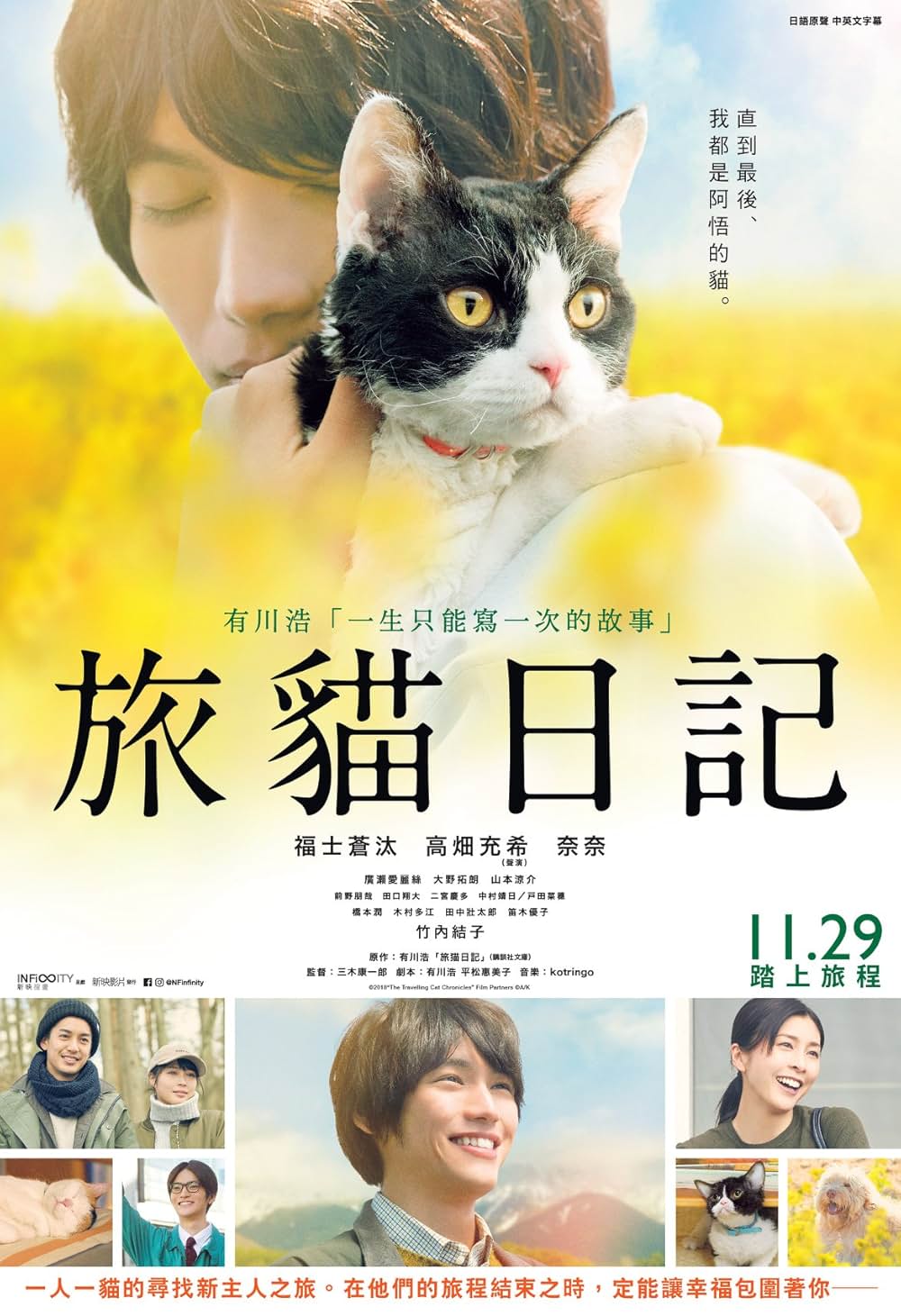 旅猫リポートの画像