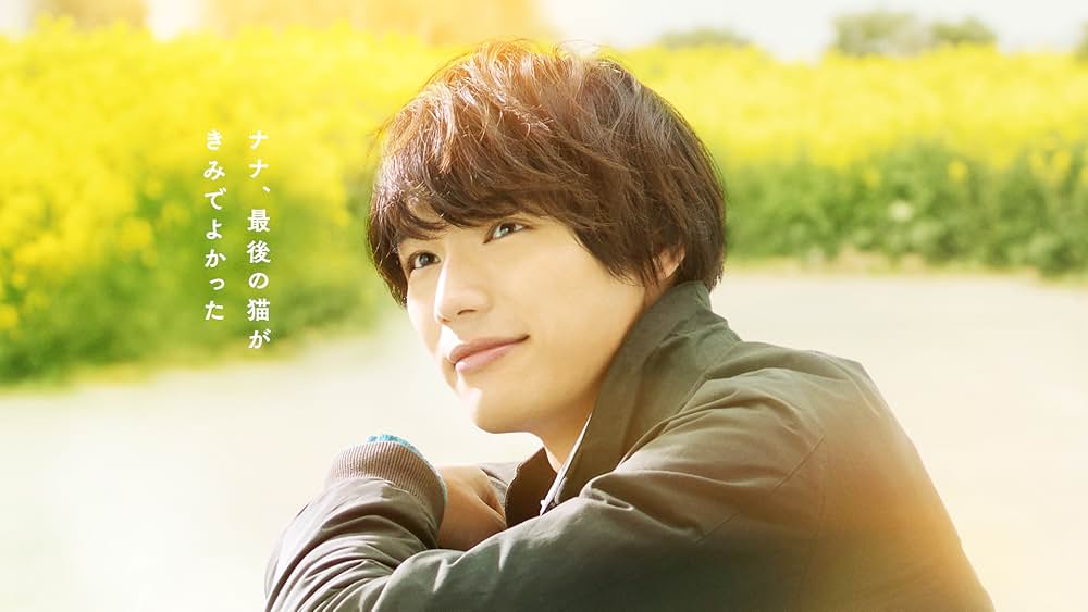 旅猫リポートの画像