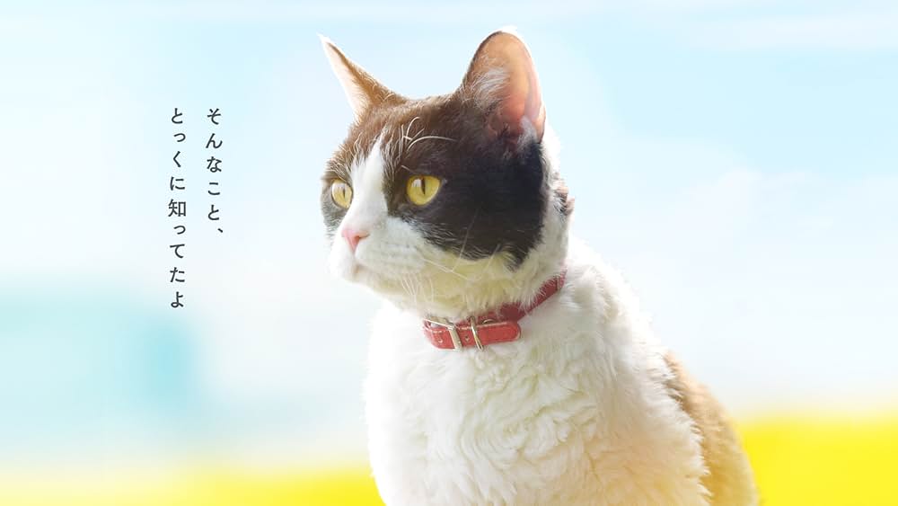 旅猫リポートの画像