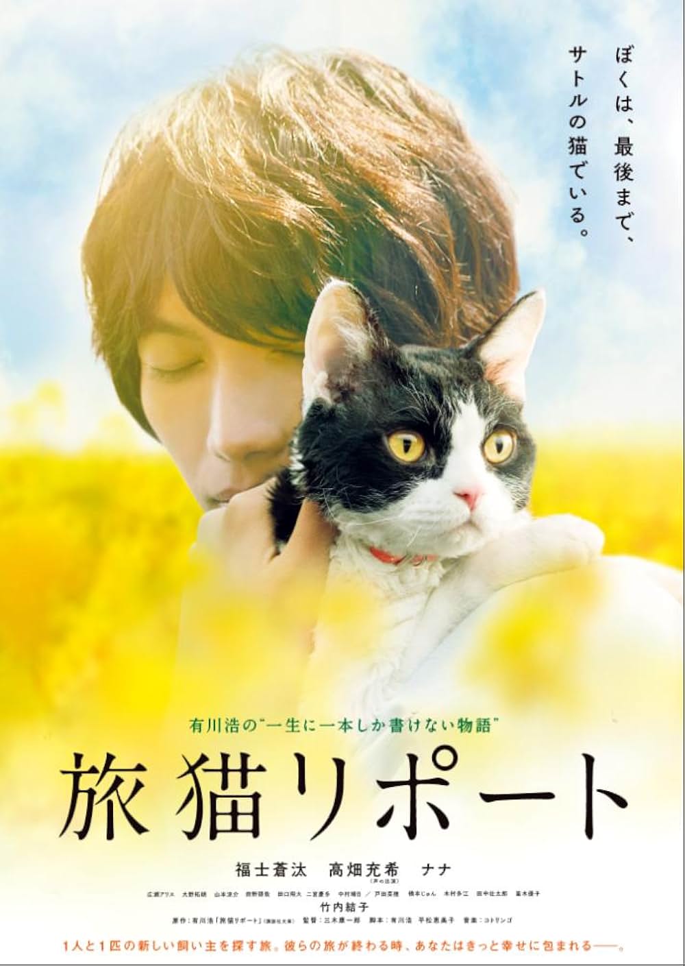 旅猫リポートの画像