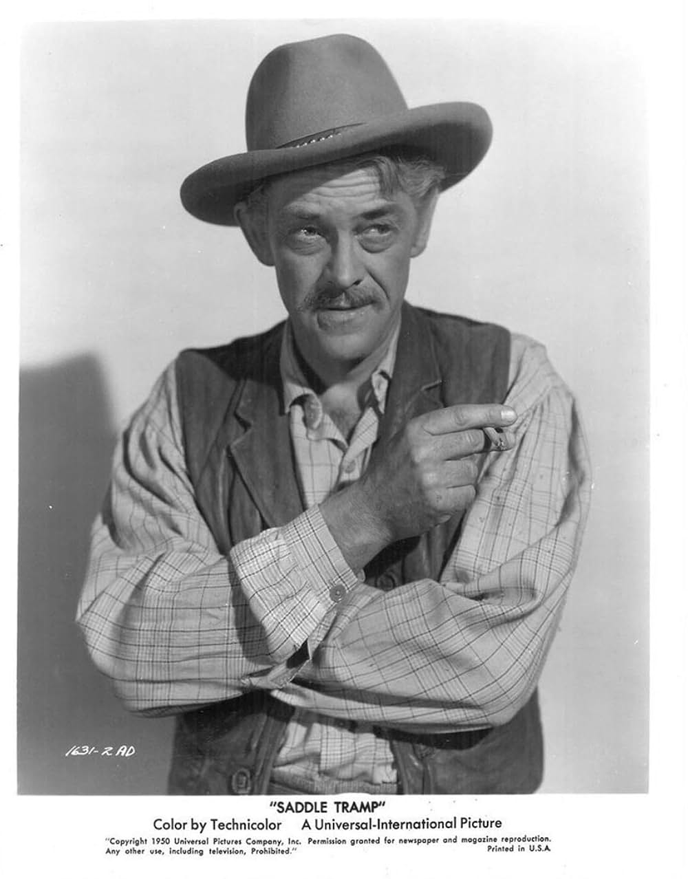 サドル・トランプの画像