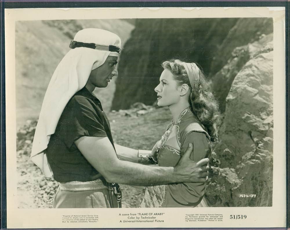 激闘の大砂漠の画像