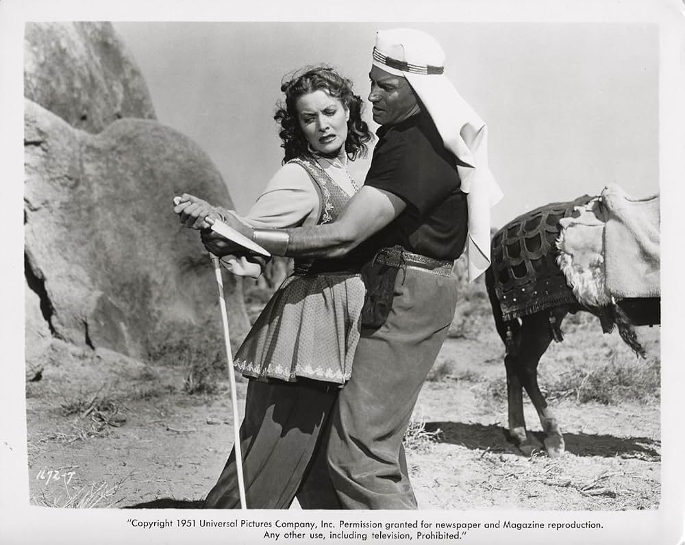 激闘の大砂漠の画像