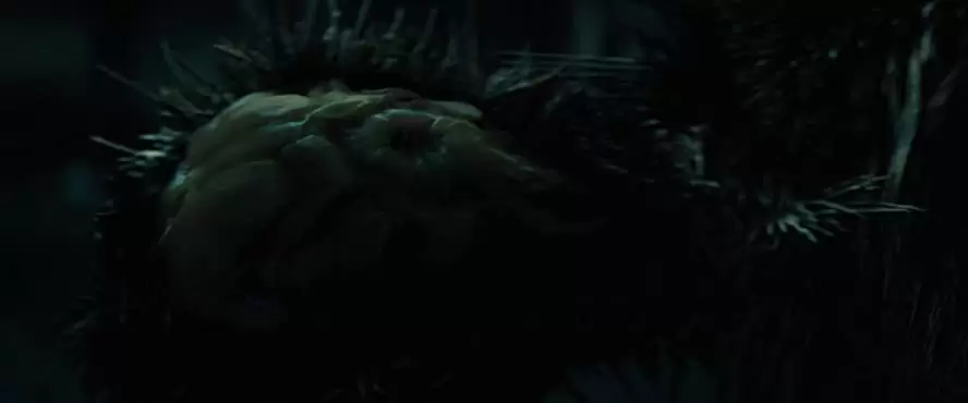 囚われた国家の画像