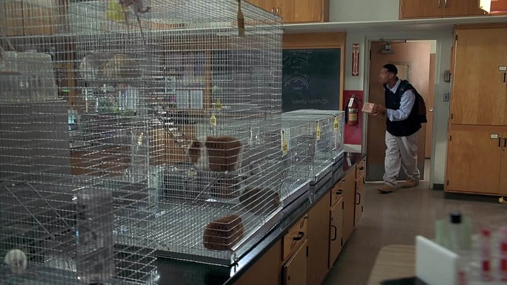 Senseless（原題）の画像